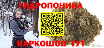 соль ск Пушкино
