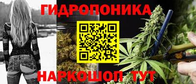 соль ск Пушкино
