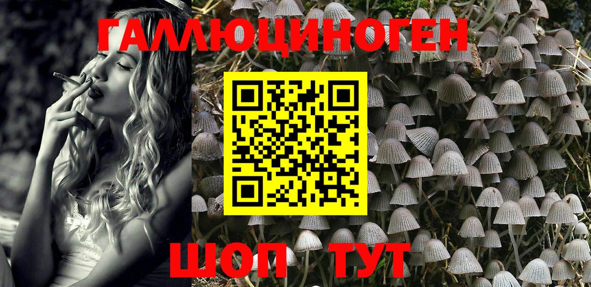 Галлюциногенные грибы Cubensis  Вход с VPN  Сафоново 